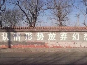 抖音小说推文项目全面介绍,知乎小说推文项目,思路分享给你,看完再也不被割韭菜!外面割999的项目