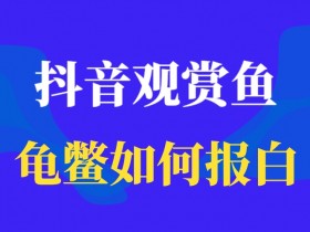 观赏鱼龟鳖怎么开通抖音小店,怎么才能直播不违规呢?抖音观赏鱼、龟鳖如何报白?报白需要哪些条件?