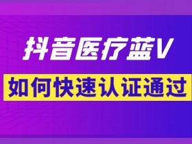 医疗蓝v,律事师务所、社团会体,幼儿园学校,职学业校、事单业位,公医立院民办蓝v都以可做,包通过