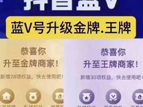 抖音蓝V等级怎么快速升级到黄金等级、铂金等级、钻石等级,王牌等级方法公开