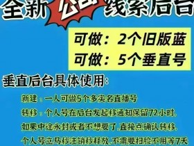《抖音老版蓝V,新版蓝V二选一,新手商家千万别选错!》