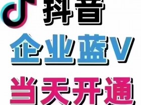 《终极安全垫:为什么说老版蓝V能保护你的账号资产?》