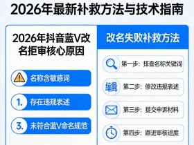 抖音蓝V改名失败怎么办?2026年最新补救方法与技术指南